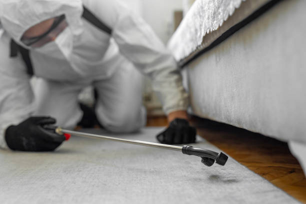 Professional Rodent Control technician working in Arnold, CA