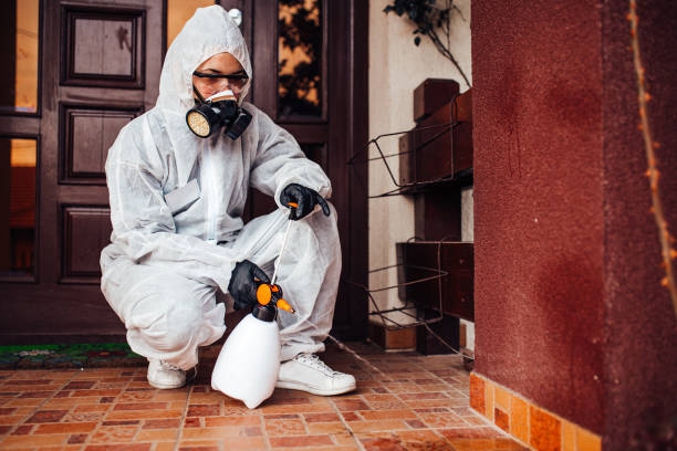 Reliable Rodent Control contractor in Arnold, CA by Nex Pest Control